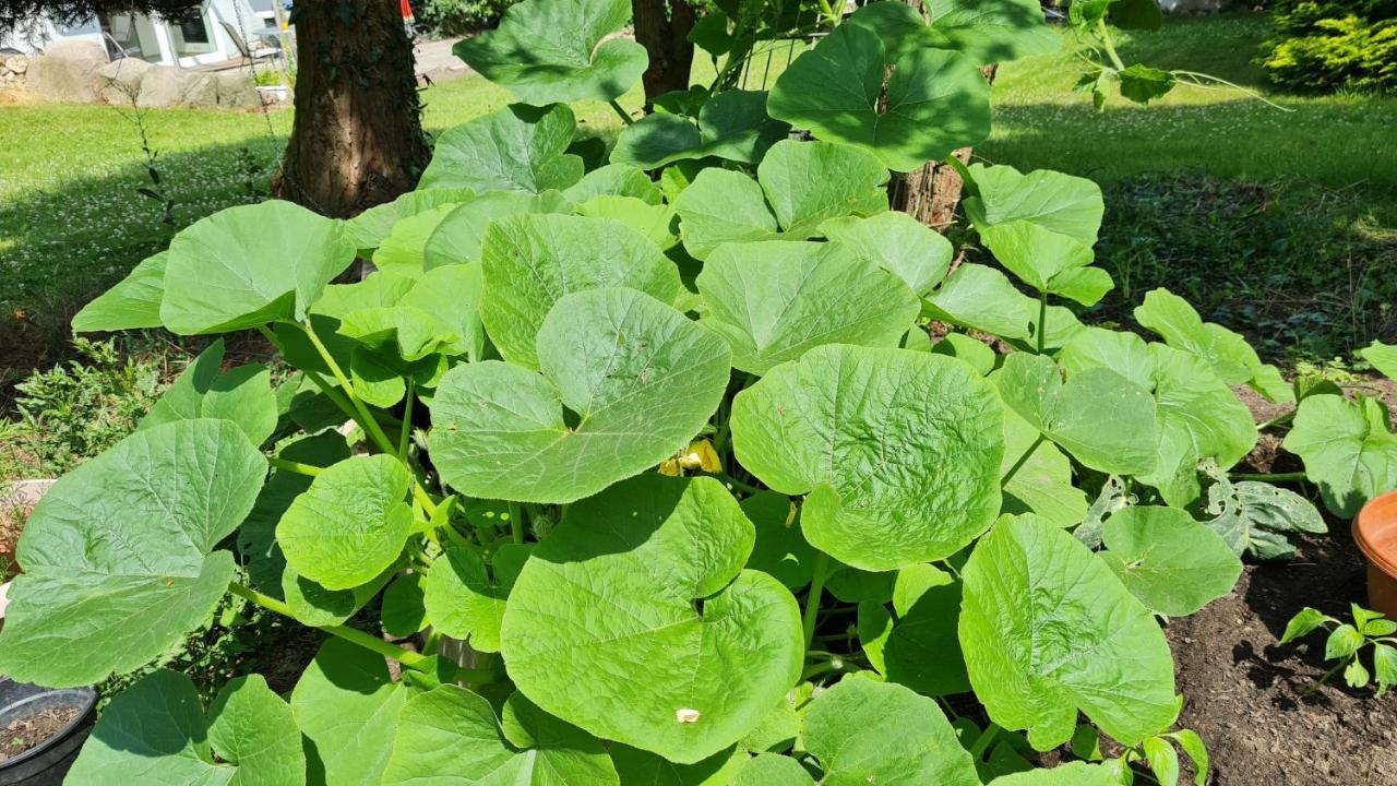 Susel Rehbrook 아파트 외부 사진